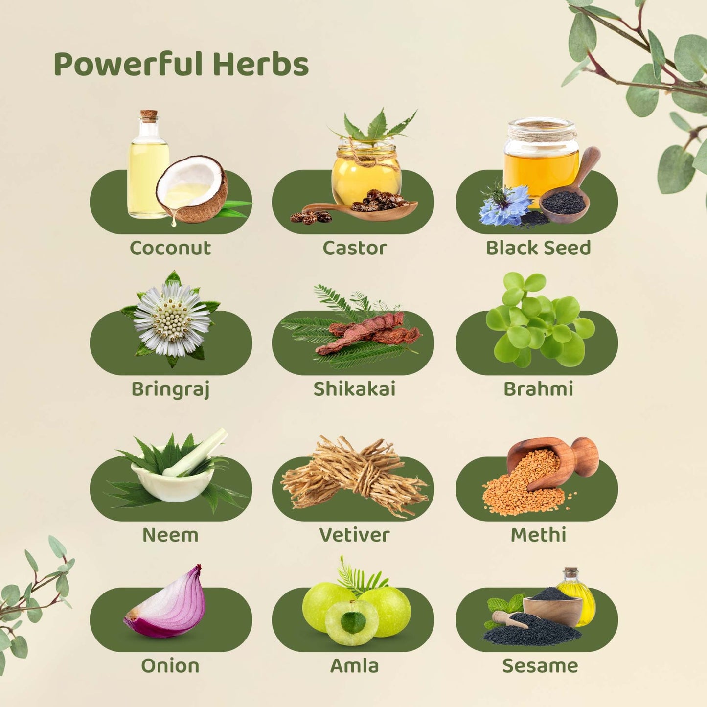 TIMRI Activated Jadibuti Hair Oil for Hair Fall & Dandruff, 100ml