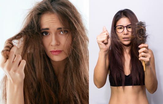 Guide to Choosing the Best Hair Oil for Hair Growth, Dry Hair & Hair Fall