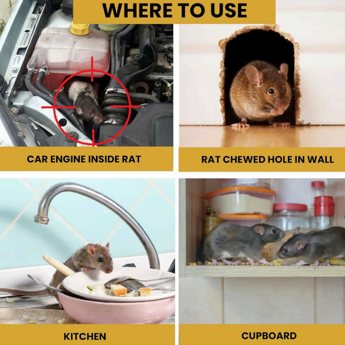 TIMRI Rat Repellent Spray for Home & Kitchen | Natural Rodent Repellent