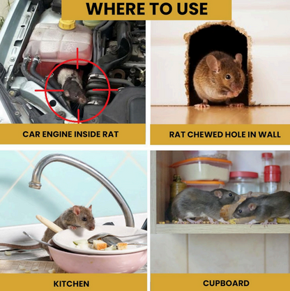 TIMRI Rat Repellent Spray for Home & Kitchen | Natural Rodent Repellent